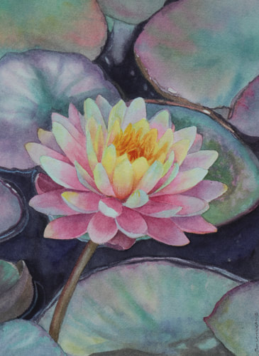 Pink water lily watercolour painting.