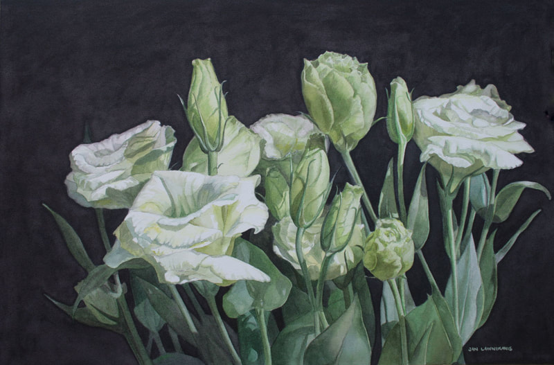 Green and white lisianthus, watercolour