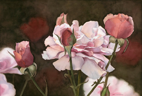 Pink roses with dark background painted in watercolour