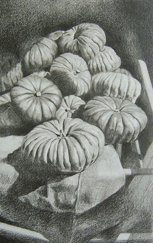 Pumpkin still-life, graphite