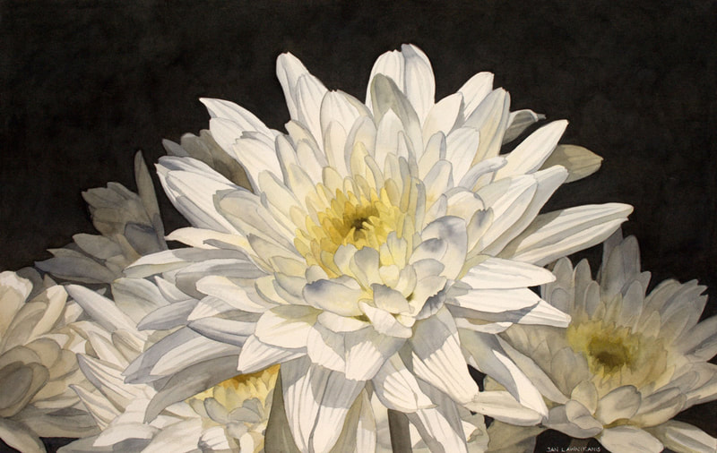 White flowers on dark background watercolour painting.