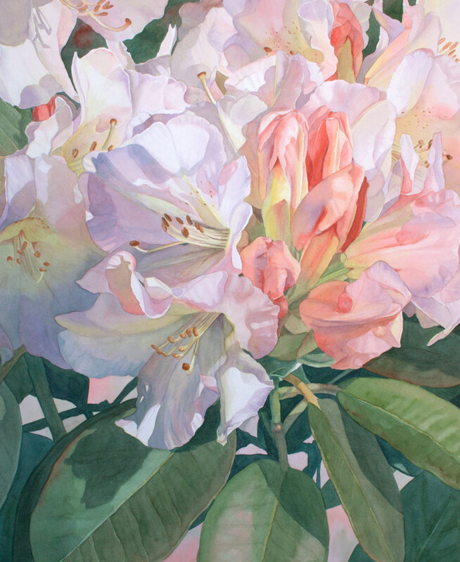 Rhododendrons watercolour painting.