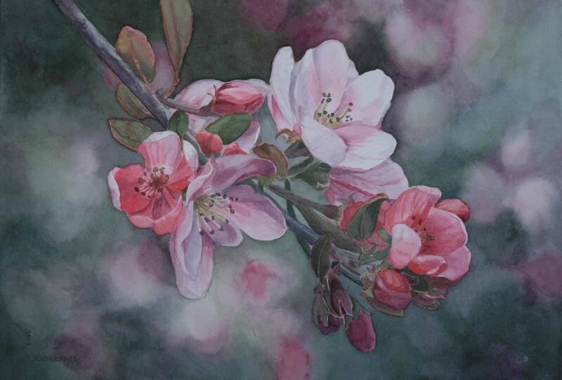 Pink blossoms watercolour painting.