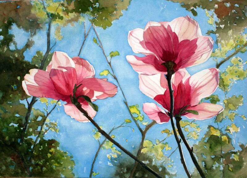 Backlit magnolias, watercolour