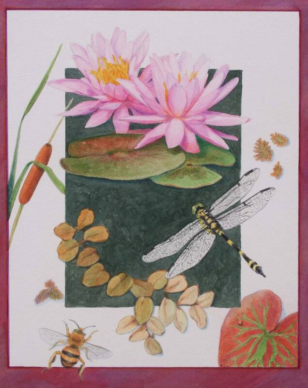 Pond plant and insect life, mixed media