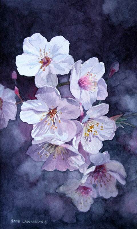White blossoms watercolour painting.